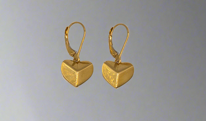 14k Gold Shiny Geometric Heart Shaped Earrings